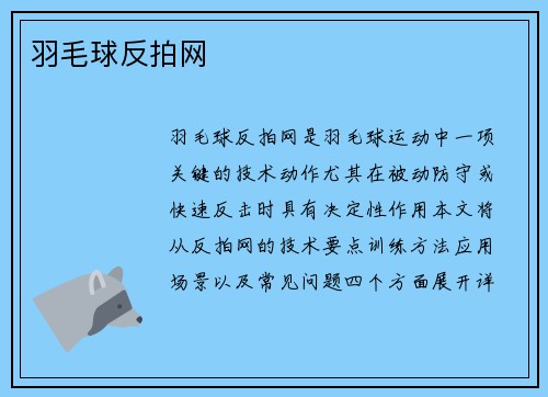 羽毛球反拍网