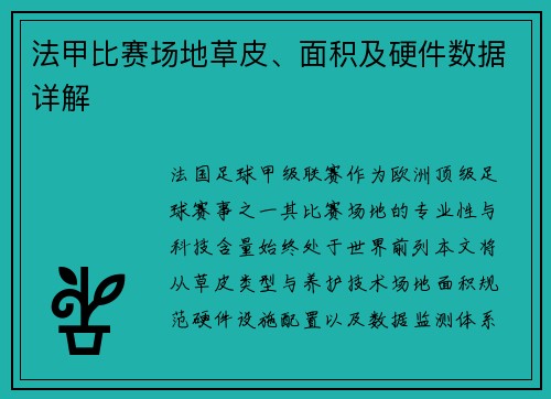法甲比赛场地草皮、面积及硬件数据详解